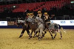 Quadrille - 00868